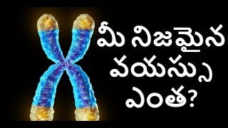 What is your Real Age? మీ నిజమైన వయస్సు ఎంత?