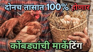 बापरे ! हा उपाय केल्याने आता फक्त दोनच तासात 100% होणार गावरान कोंबड्यांची मार्केटिंग