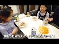 【キャンピングカー旅】お茶の京都で車中泊🚙💤　キャンピングカーで食べるおでんは美味しい😋　トイファクトリー　キャラバン　ハイエース　道の駅　南山城村　スコティッシュフォールド　プリン　三毛猫