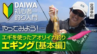 【DAIWA 初心者釣り入門】宮澤幸則のやってみよう！エギング［基本編］