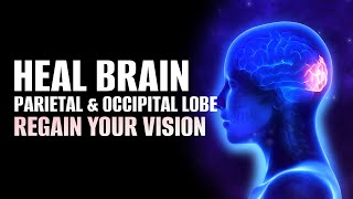 Heal Brain Parietal and Occipital Lobe | Regain Your Vision | Recovery from Traumatic Brain Injury