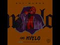 Daliwonga - Abo Mvelo (ft. Mellow & Sleasy and M.J {slowed+reverbed}