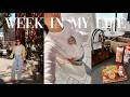 WEEK IN MY LIFE in the CITY | fall vibes! 🍂🍁 shopping for fall, furniture delivery + usher concert!