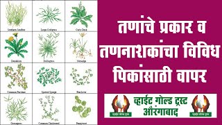 तणांचे प्रकार व तणनाशकांचा विविध पिकांसाठी वापर #weeds #तणनाशक #शेतशिवार #शेतीमाहिती #agriculture