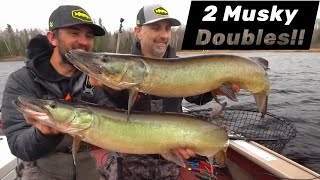 2 MUSKY DOUBLES In 7 Fish Day!!!