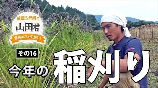 就農５年目の山田君～自然の力を生かせ～　その１６・今年の稲刈り