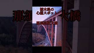 【那須高原大橋】栃木県の心霊スポット #怖い話 #怪談 #怖い #心霊スポット #shorts