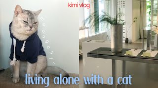 korea vlog | living alone with a cat🐱 | catnip toy | aglio e olio🍝 | mooasi | wasabi salad🥗(?)