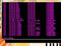 socket programming with tcp & udp group 16