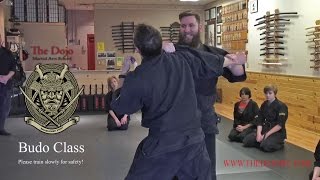 Budo Class The Dojo Martial Arts Cincinnati Ohio Ninjutsu