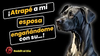 r/Atrapé a mi esposa engañándome con su... - Reddit Español | Venganza Visceral