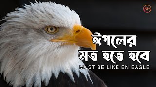 ঈগলের মত হতে হবে,তোতার মত নয়।Eagle's Characteristic। Eagles The Kings of the Sky। By Mamun Moynul.