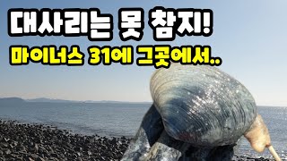 대사리 때 꼭! 가야 하는 수도권!(장비 이름 짓기 이벤트!)