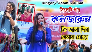 কি জালা দিয়া গেলায় মোরে।new varson jasmin juma।akram।baul gan2025