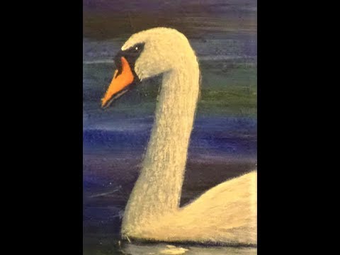 Simple Step By Step Painting Of A Swan For Beginners With Acrylic Paint ...