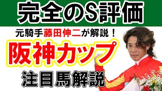 【阪神カップ】1400ｍ専用機のこの馬、完全のS評価です！元騎手藤田伸二による注目馬見解