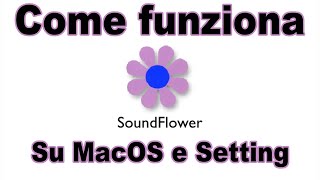 Come registrare audio interno con SoundFlower e come funziona l'estensione MacOS. Alex P.