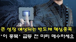 2차전지 다음 대박 날 종목 삼성전자가 투자하고 국내 독점적인 기술을 갖고 있는 '이 기업' 미리 매수하세요