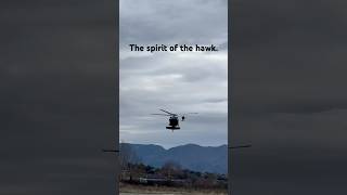 The spirit of the hawk. #albania #airforce #fly #blackhawk #mission #military