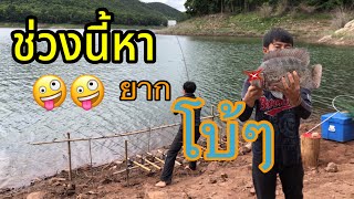 ตกปลาหน้าดิน นางฟ้าช่วงนี้หายากหน่อยครับ แม่กวง 0666