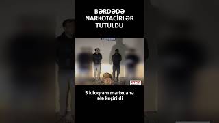 BƏRDƏDƏ NARKOTACİRLƏR TUTULDU: 5 kiloqram marixuana ələ keçirildi #stopnarkotik #din