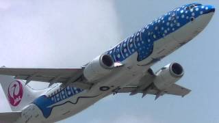 空飛ぶジンベエザメ JTA B737 ジンベエジェット 那覇空港離陸！ / Fly! Whale sharks JTA Jinbe Jet takeoff