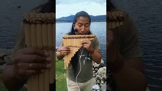 The Sound Of Silence 🤫 - El Sonido del Silencio | Instrumental Version Pan Flute | Andean Music