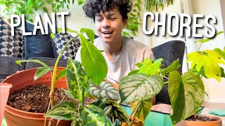 Let’s Repot some Plants Together 🥰🪴 | Repotting #Houseplants | Repot with me ☀️#PlantChores