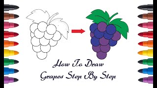 How To Draw Grapes Step By Step | Grapes Drawing
