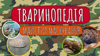 Тварини майстри маскування