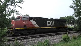 CN 2245 East in Wyanet, IL 8/9/21