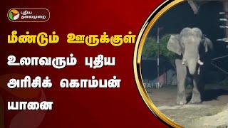 மீண்டும் ஊருக்குள் உலாவரும் புதிய அரிசிக் கொம்பன் யானை | Elephant | PTT