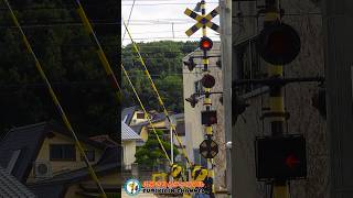 【踏切 電車】なにが通るかな？？？【ふみきりショート動画27】  #shorts