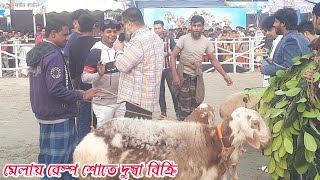 দুম্বার রেম্প শো ! নিলামে হচ্ছে বেচাকেনা । উত্তরবঙ্গ বিখ্যাত গুরুর মেলা ২০২৩।