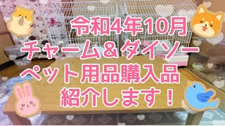 令和4年10月チャーム＆ダイソーペット用品購入品紹介