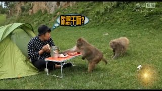 《明星家族的2天1夜》精彩看点- 海涛早起被猴子吓倒 早餐被猴子疯抢