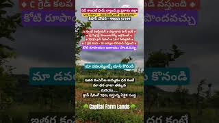 తక్కువ ధర - ఎక్కువ ఆదాయం #shorts #short #trending #video #youtubeshorts #shortvideo #viralvideo #yt