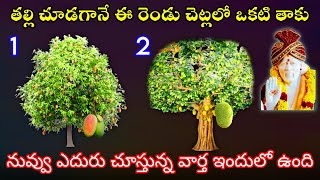 తల్లి చూడగానే ఈ రెండు చెట్లలో ఒకటి నాకు నువ్వు ఎదురు చూస్తున్న వార్త ఇందులో వుంది