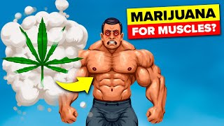Effects of Weed on Building Muscle | The Workout Show