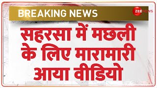 Breaking News: सहरसा में मछली के लिए मारामारी, आया वीडियो | Saharsa Fish Loot Video | Hindi News