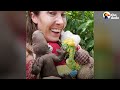 woman breaks down rescuing puppies the dodo