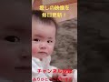 【かわいい】双子の赤ちゃん【癒し】＃５