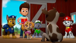 PAW Patrol - Baby Cow | Season 6 Compilation | WildBrain Zoo | Kids Cartoons