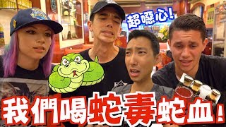 We drank SNAKE BLOOK and SNAKE VENOM!! 【theLiuPei VLOG】