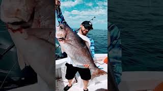 HUGE barrel fish from 800ft deep!