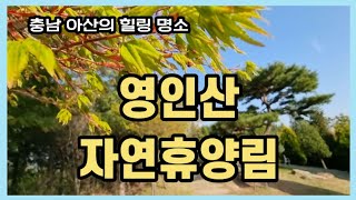 아산 영인산 자연휴양림의 봄/아산 가볼만한 곳/충남 아산 영인산/힐링 명소