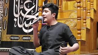 Habib Aa Jao || Mir Qasim Mir In The Holy Sharine Imam Hussein A.S || 72 Karbala