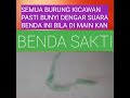 SUARA BURUNG BELIBIS,KACER,PERINJAK DLL