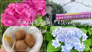 白山神社⛩文京あじさいまつり 東京💕Hakusan Shrine✨Bunkyo Ajisai Festival❁⃘*.ﾟTokyo June 2024　#季節の花 #見頃 #東京 #あじさい