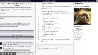 Learn Basic HTML and HTML5: Create a Form Element | freeCodeCamp.org 19